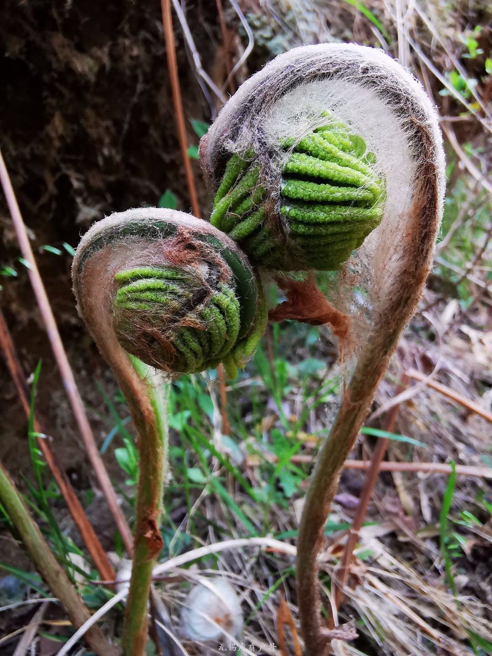 微信图片_20190406201737