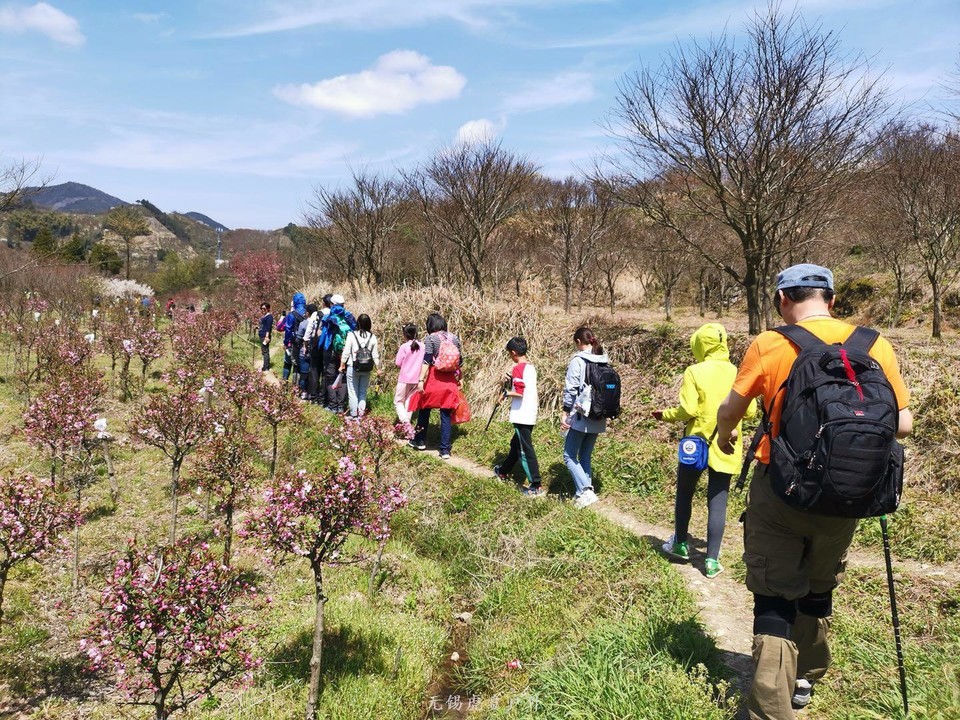 微信图片_20190406201740