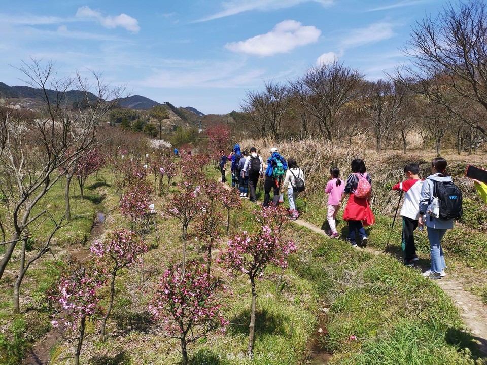 微信图片_20190406201744