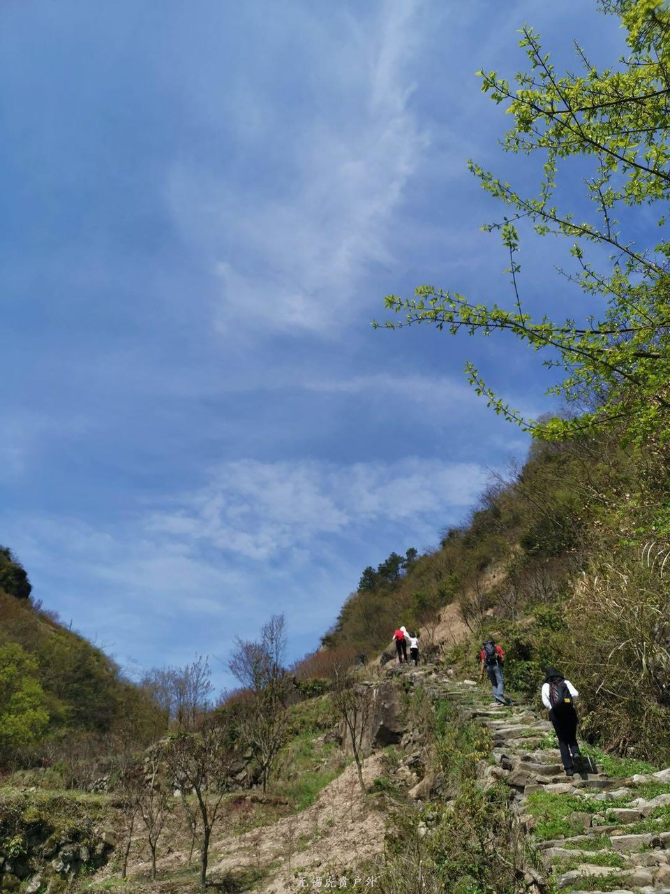 微信图片_20190406201750