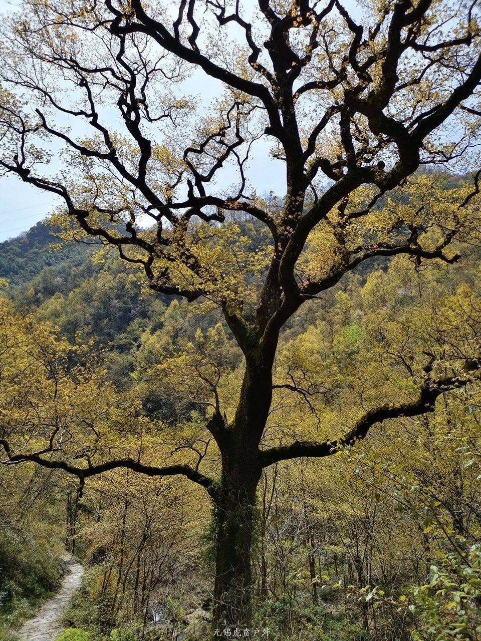 微信图片_20190406201754