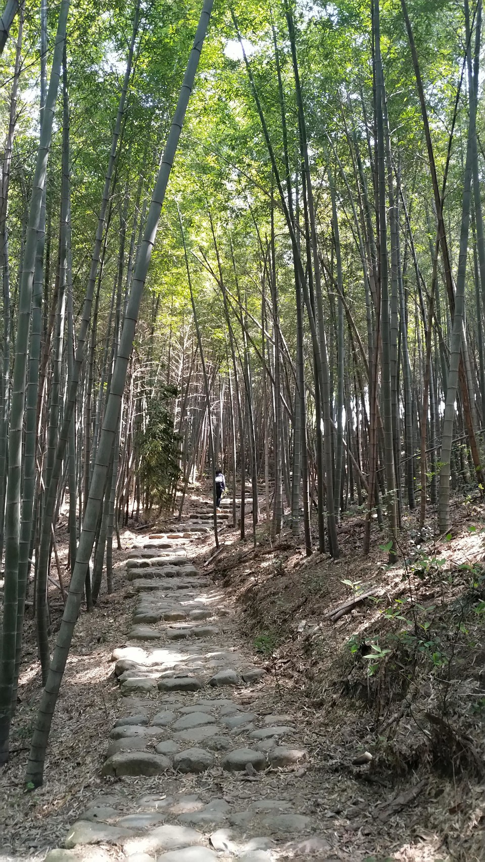 微信图片_20190406113809