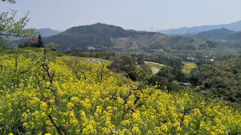 微信图片_20190406113813