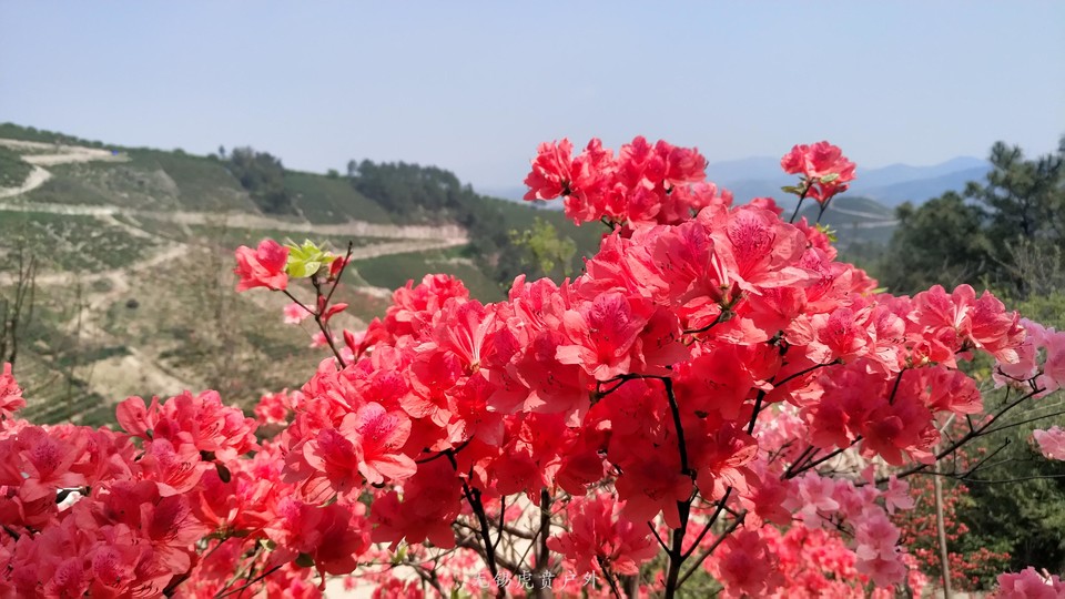 微信图片_20190406113818