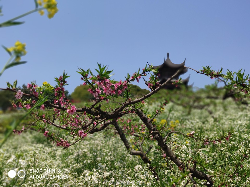 微信图片_20190406192845