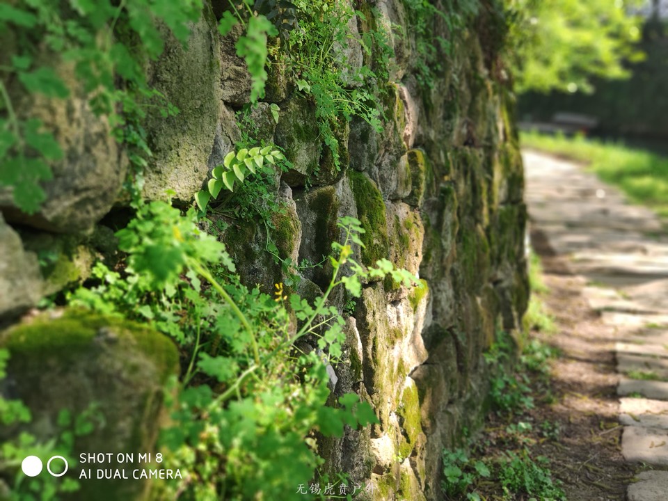 微信图片_20190406193241