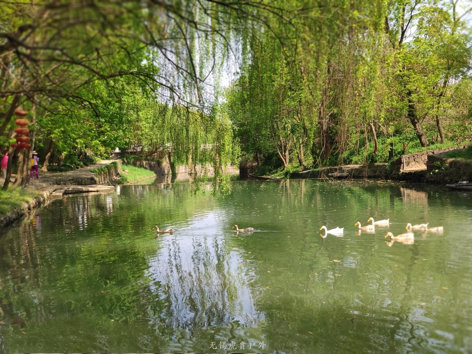 微信图片_20190406193432