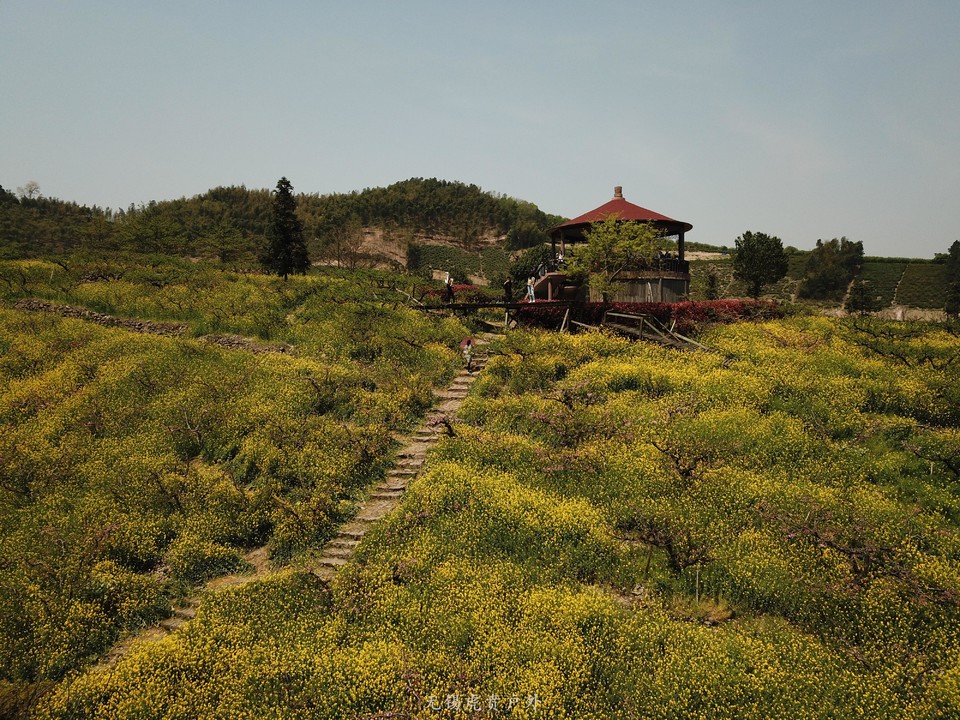 微信图片_20190406193513