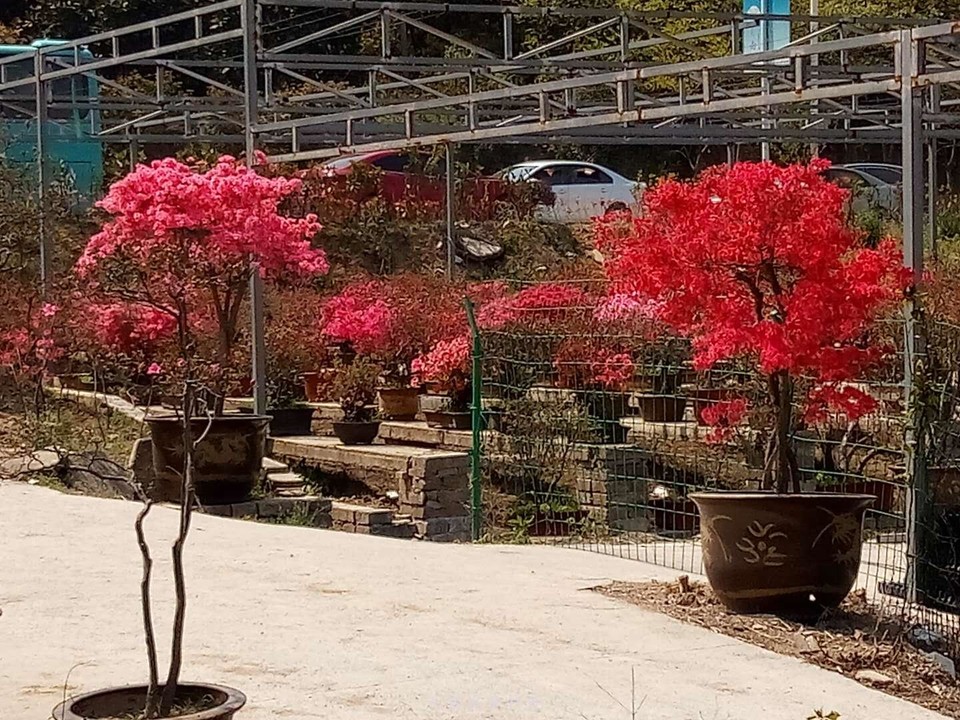 微信图片_20190406193545