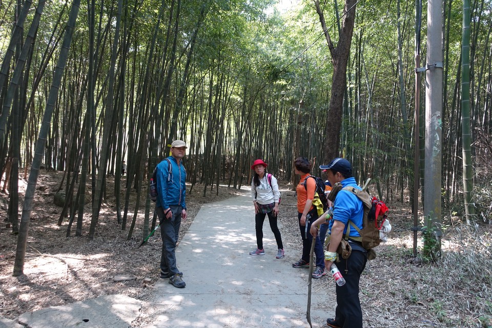 微信图片_20190406193811