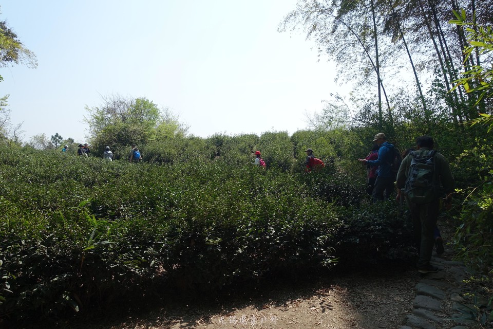 微信图片_20190406194027