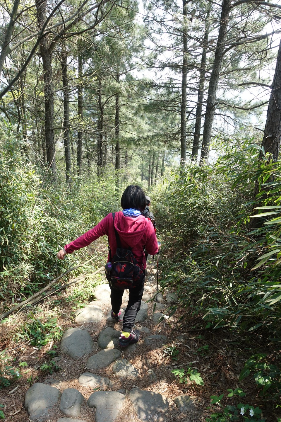 微信图片_20190406194045