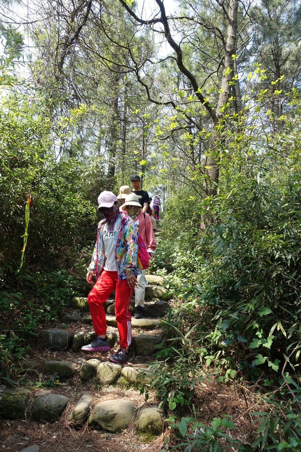 微信图片_20190406194102