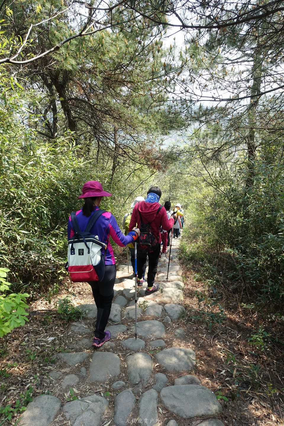 微信图片_20190406194117