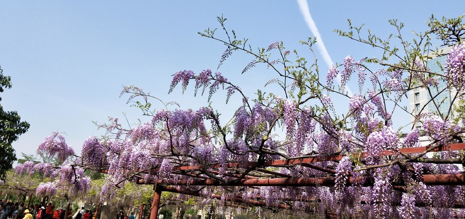 微信图片_20190413100856