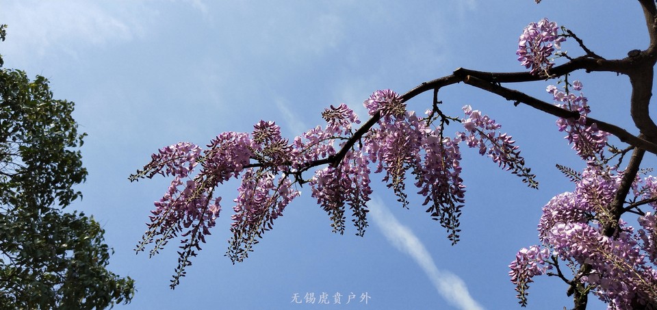 微信图片_20190413100908