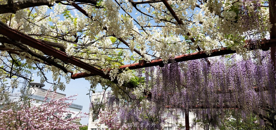 微信图片_20190413100921