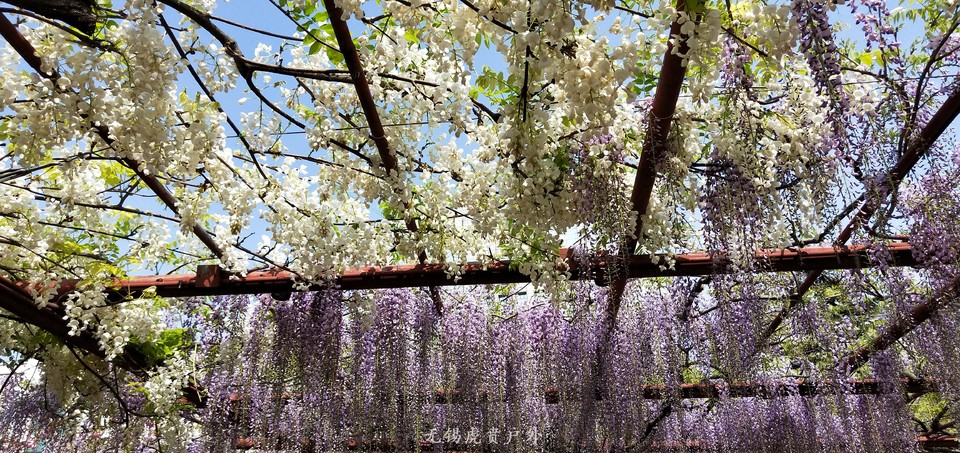 微信图片_20190413100928