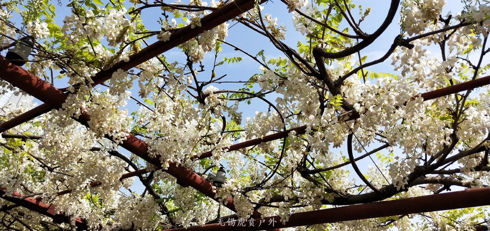 微信图片_20190413100934