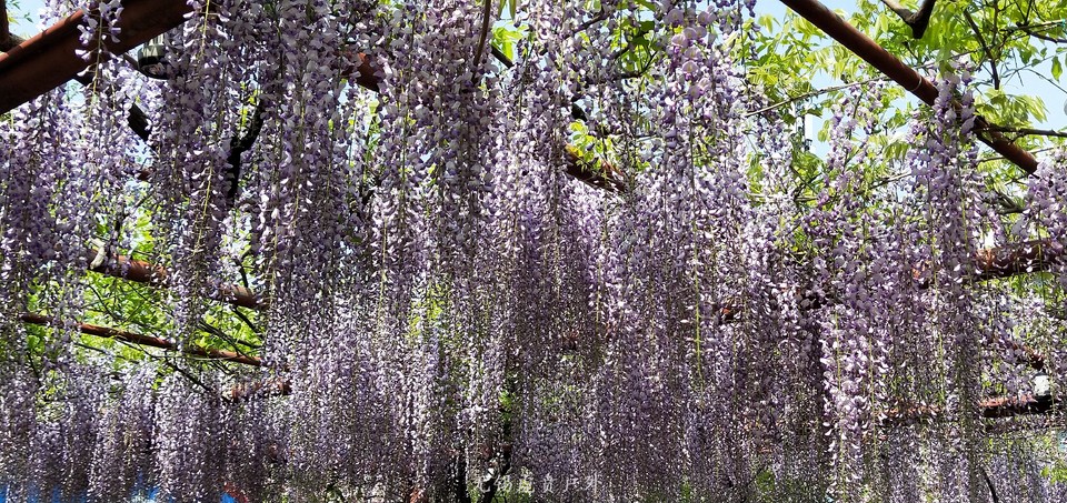 微信图片_20190413100958