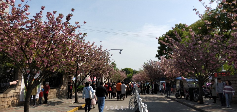 微信图片_20190413101003