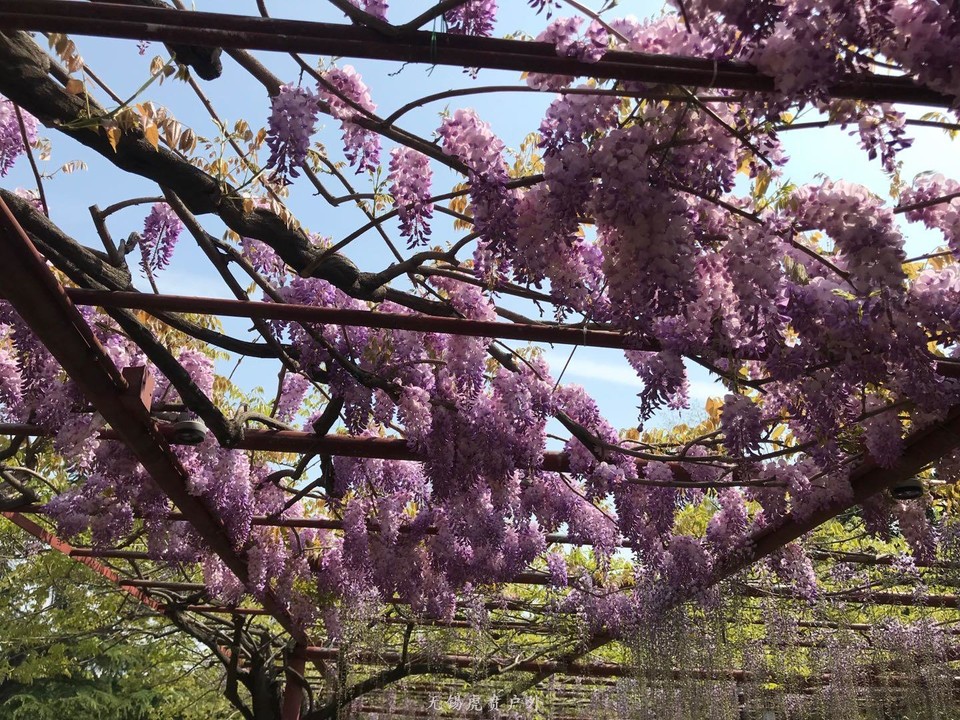 微信图片_20190413101023