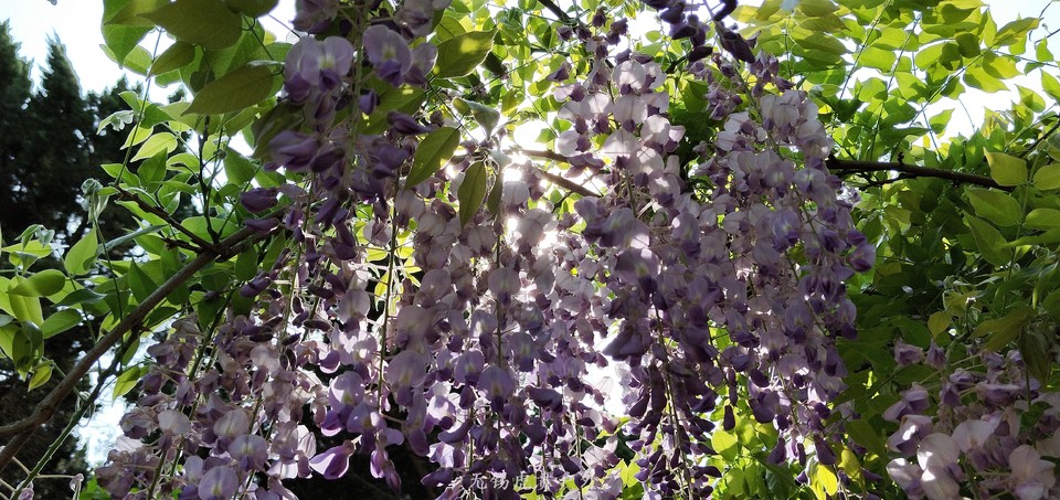 微信图片_20190413101034