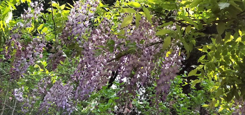 微信图片_20190413101039