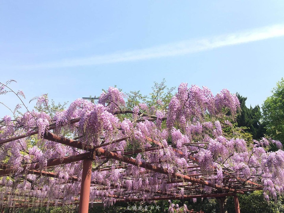 微信图片_20190413101051