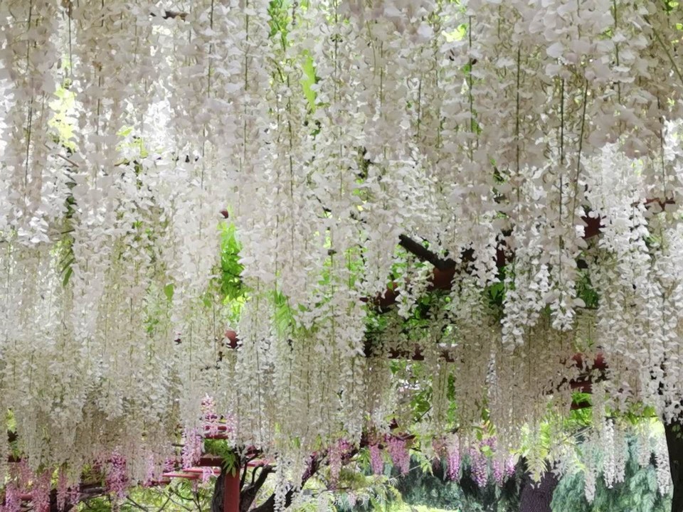 微信图片_20190421210119