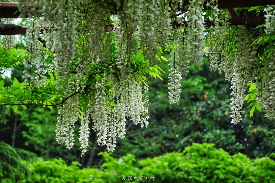 微信图片_20190421215135