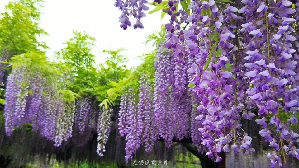 微信图片_20190421220320