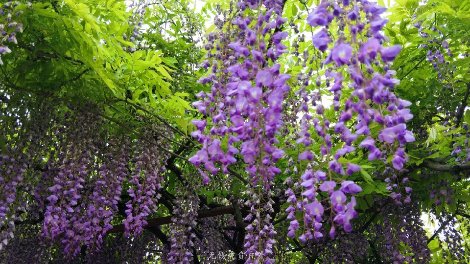 微信图片_20190421220327