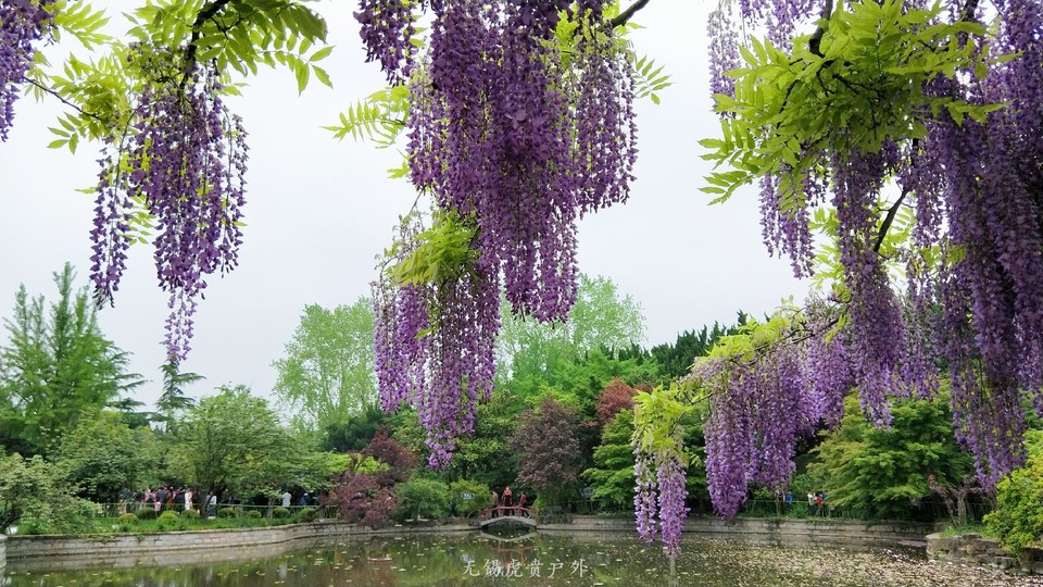 微信图片_20190421220332