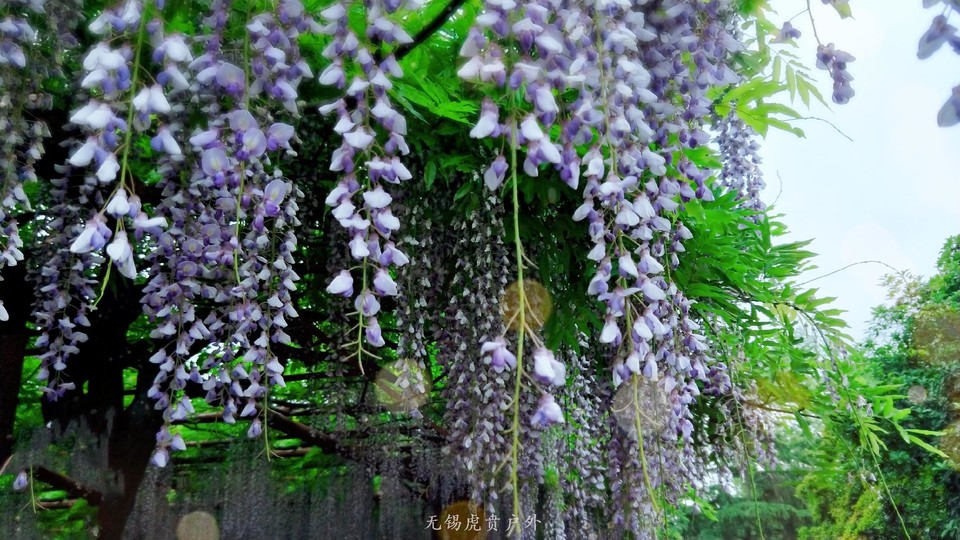 微信图片_20190421220338