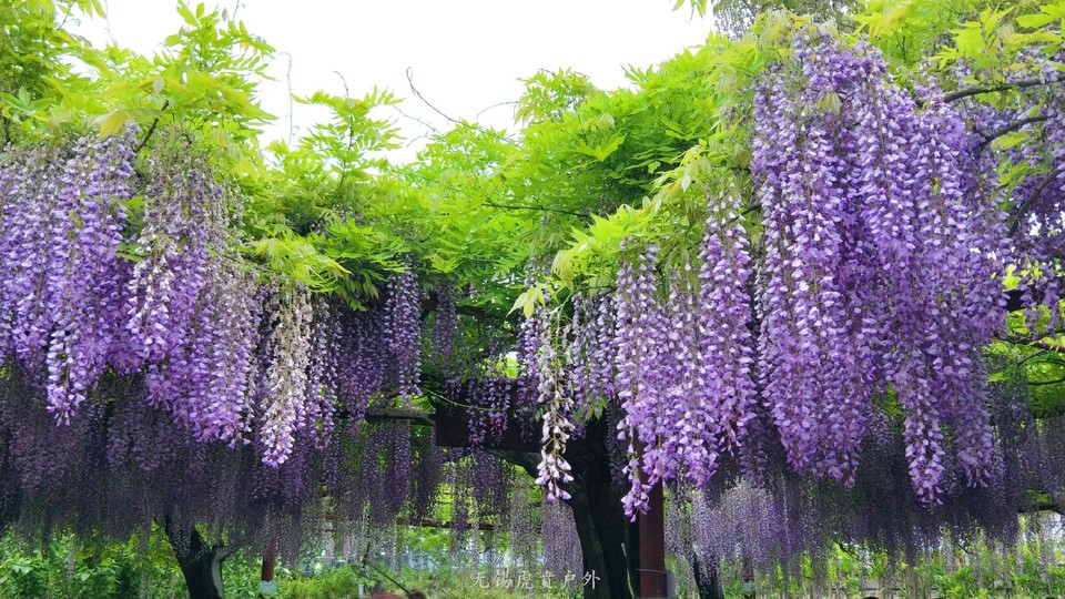 微信图片_20190421220343