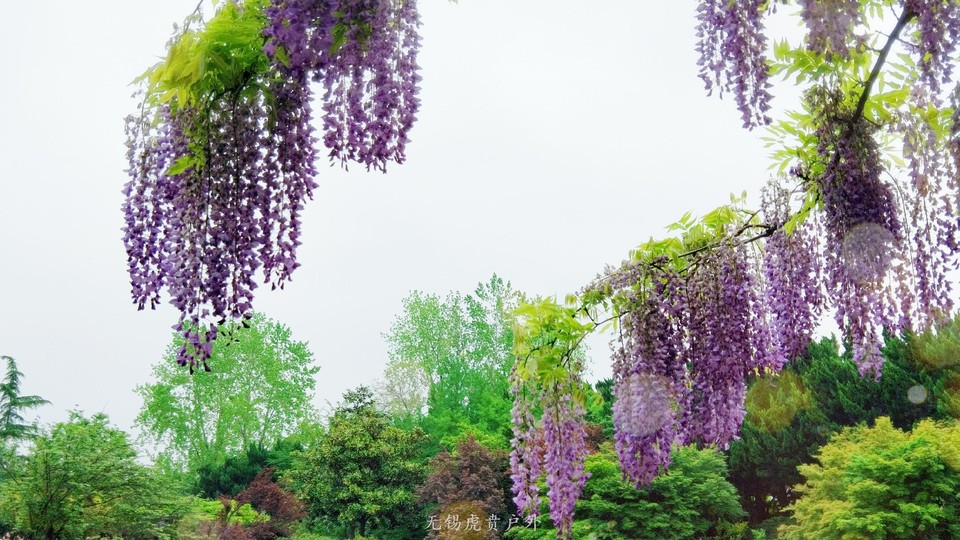 微信图片_20190421220354