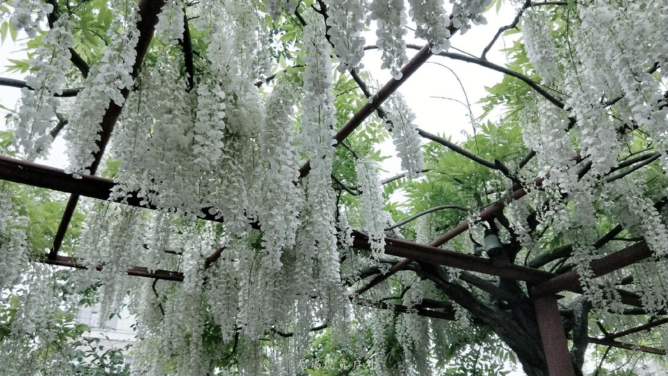 微信图片_20190421220359