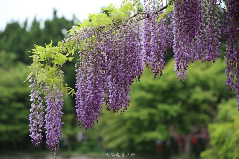 微信图片_20190423194243