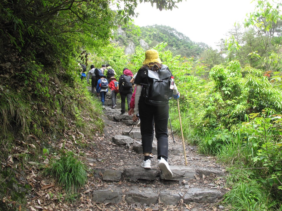 微信图片_20190503202755