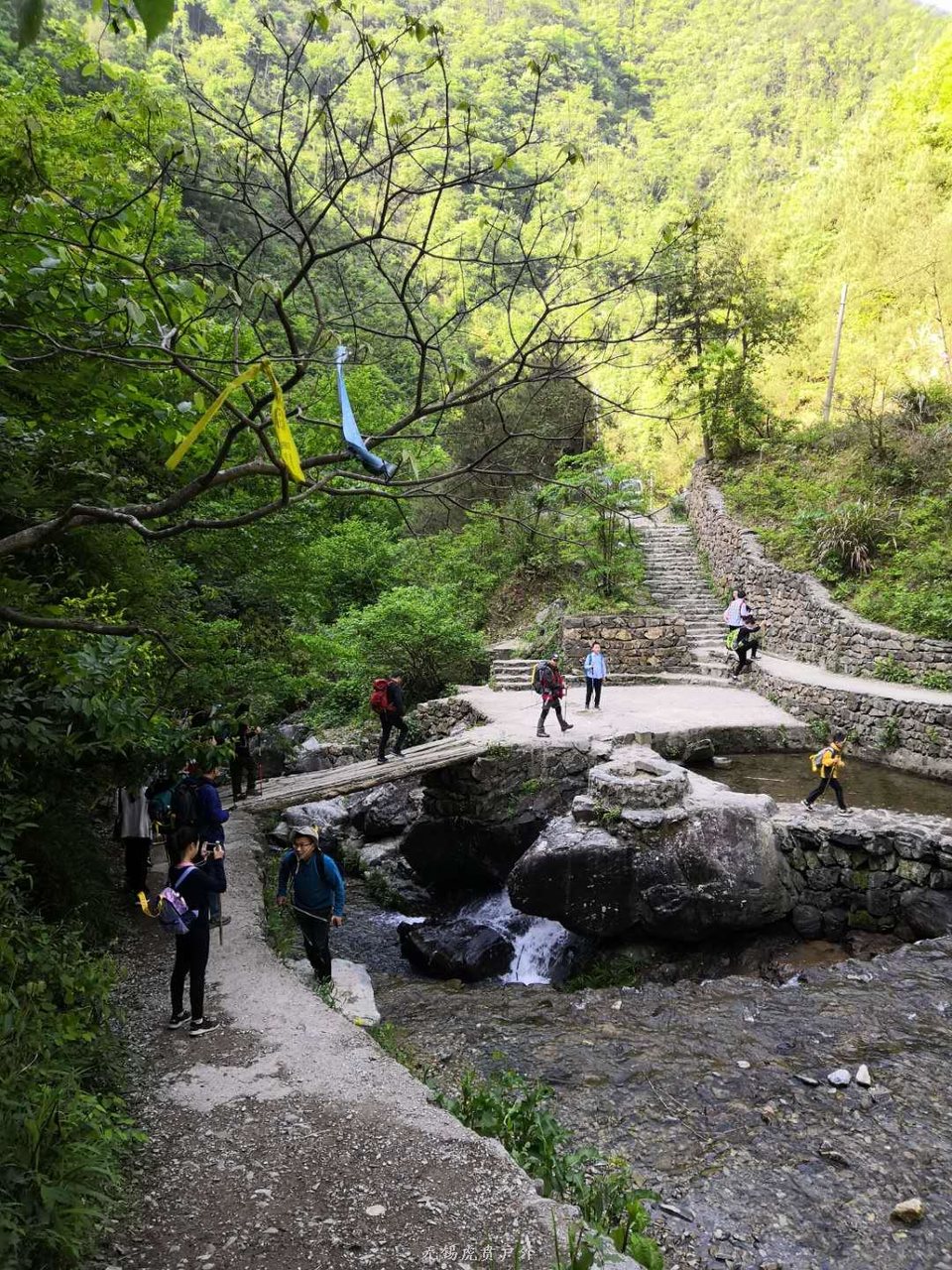 微信图片_20190504081106