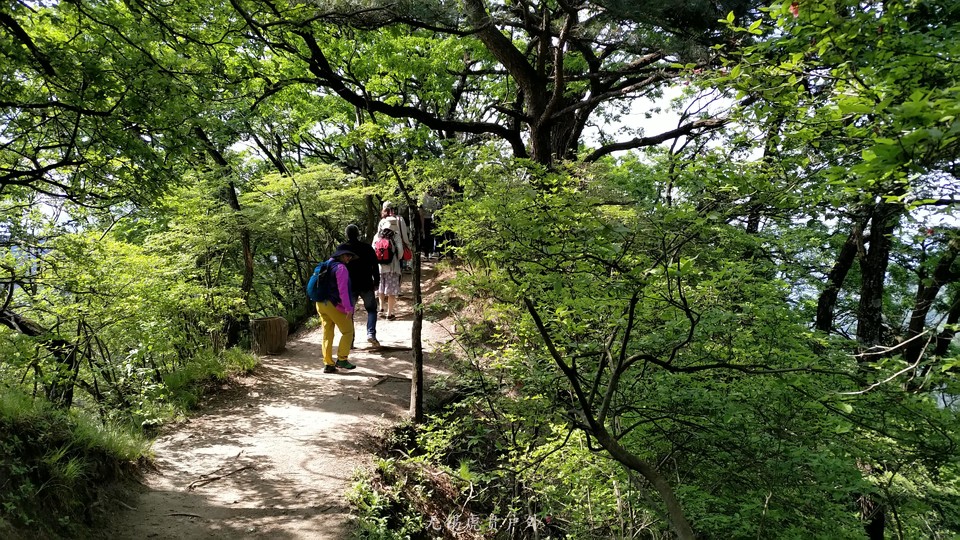 微信图片_20190502210444