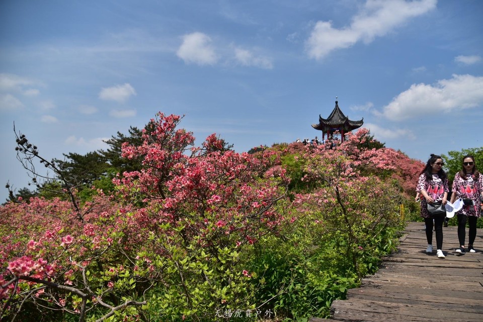 微信图片_20190503204455