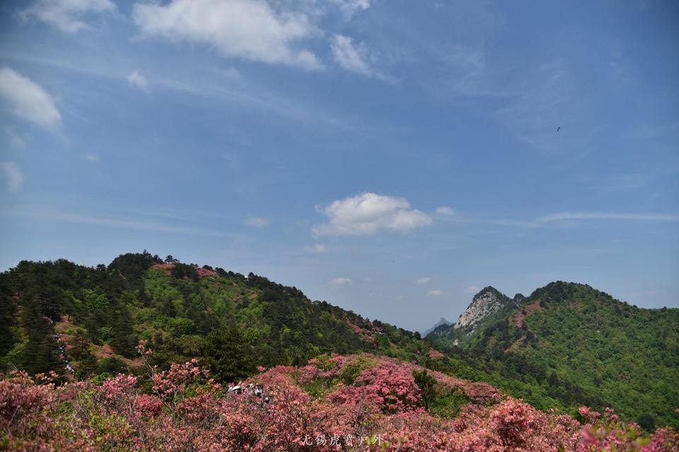 微信图片_20190503204458