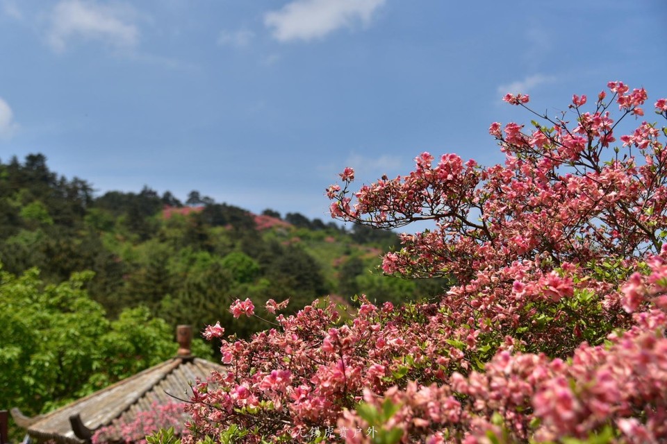 微信图片_20190503204503