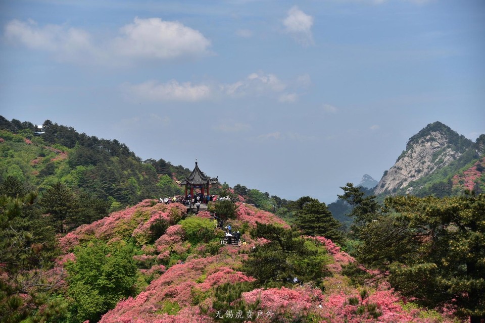 微信图片_20190503204518