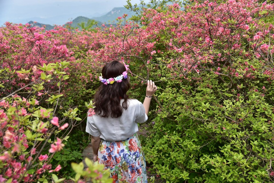 微信图片_20190503204541