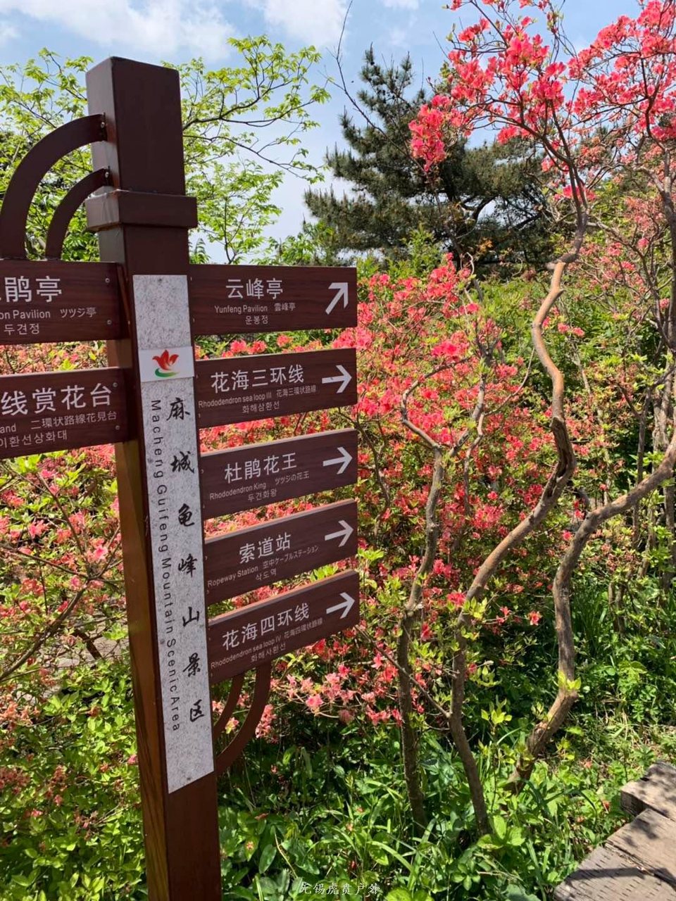 微信图片_20190503210024