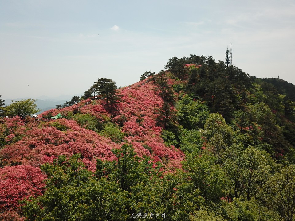 微信图片_20190503210128