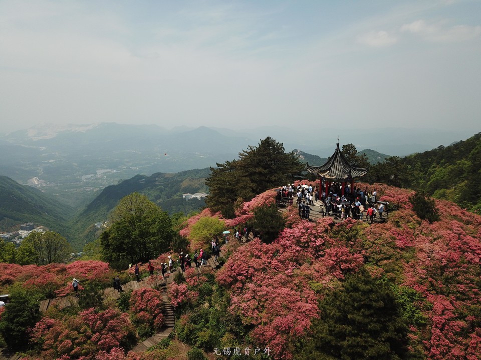 微信图片_20190503210146